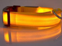 Load image into Gallery viewer, Night Safety Flashing Glow In The Dark Dog Collar
