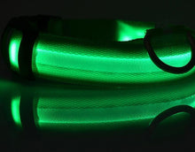 Load image into Gallery viewer, Night Safety Flashing Glow In The Dark Dog Collar
