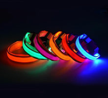 Load image into Gallery viewer, Night Safety Flashing Glow In The Dark Dog Collar
