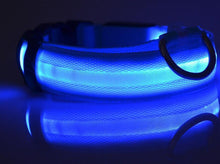 Load image into Gallery viewer, Night Safety Flashing Glow In The Dark Dog Collar
